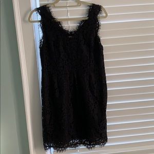 Joie lace cocktail dress